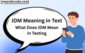 IDM Meaning in Text