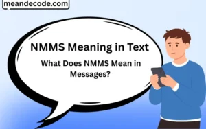 NMMS Meaning in Text