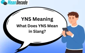 YNS Meaning